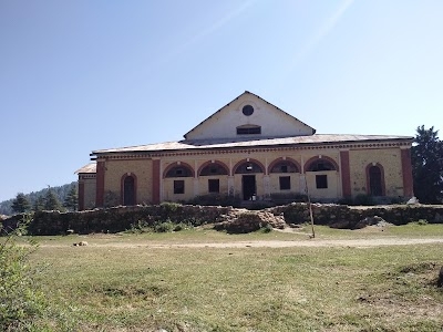 Pratap Nagar