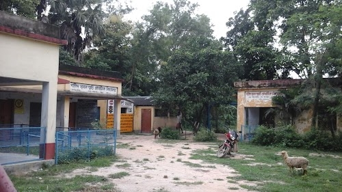 DAKSHIN SIUR PRIMARY SCHOOL