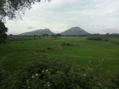 Patrahatu