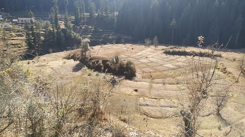 Lohaghat Jheel