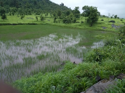 Khardi