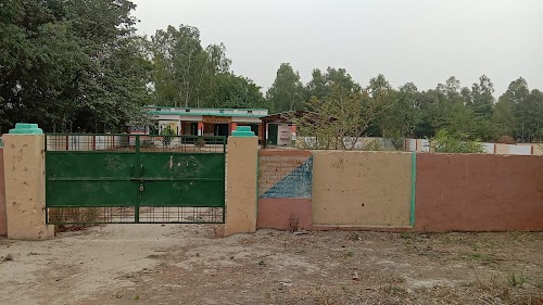 प्राथमिक विद्यालय Asharfabad