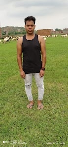 BOLBAM SEVA SABIR BHAWANIPUR PURNIA