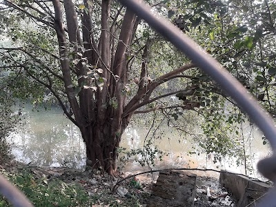 Mahanagar Colony