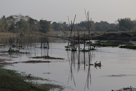 Purba Khalishamari