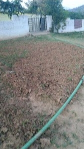 Deepu tara