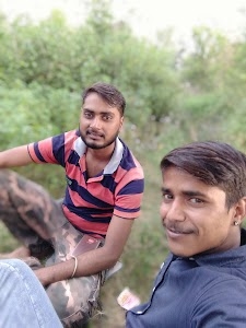 Dhundhara
