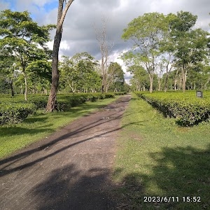 Dimakuchi T.E.