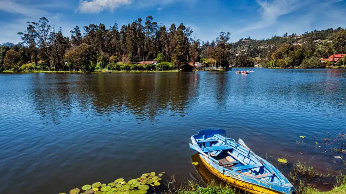 Kodaikanal Lake