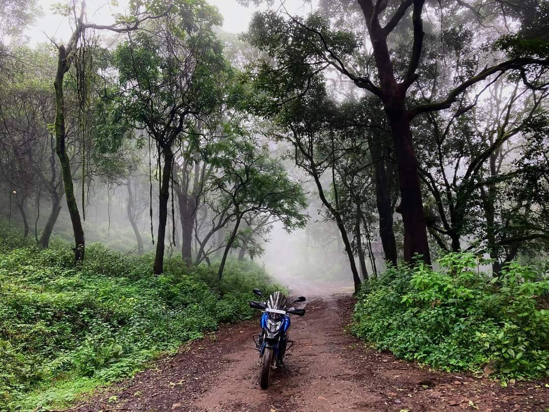 Rani Jhari Edge Point