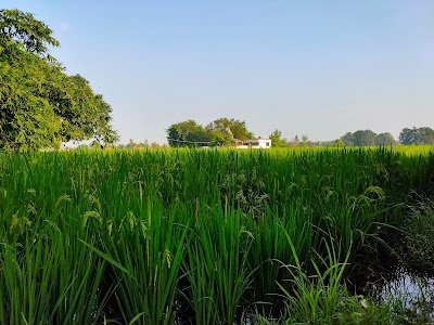 Molnachak Shiv Mandir