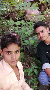 Hirwadi