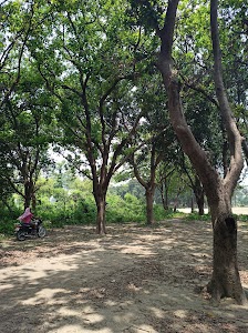 Gopi Chhapra