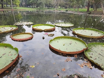 Botanical Garden