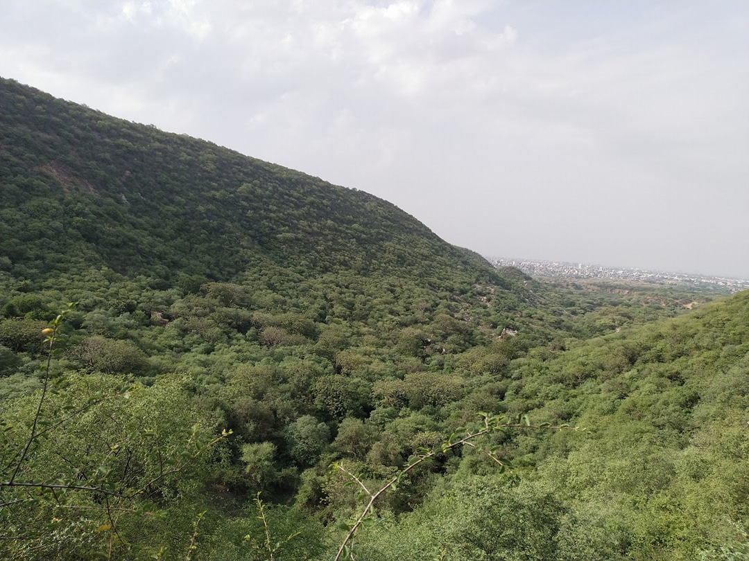 Maila Bagh