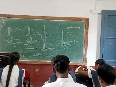 Maharaja Chhatrasal College of Computer Science Badamalehra