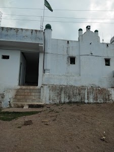 Nimodapeer