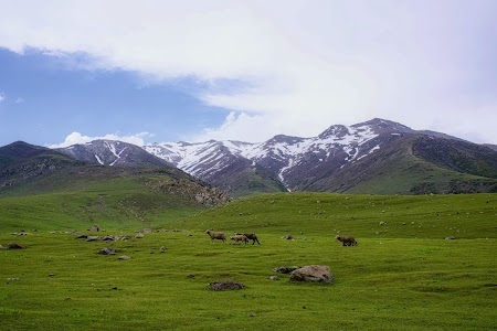 Peer Ki Gali