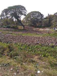 Bagribari