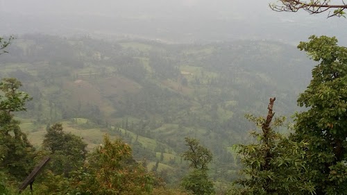 Willson Hill