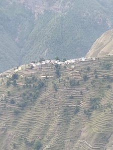 Dimaina