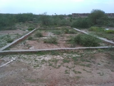 Pakharpur