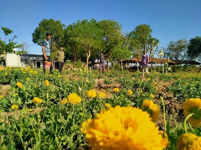 Lal Sagar Karshi Farm