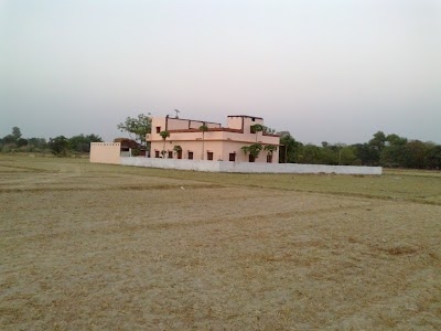 Dongipur