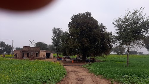 India Meteorological Department