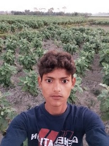 Boma Basti