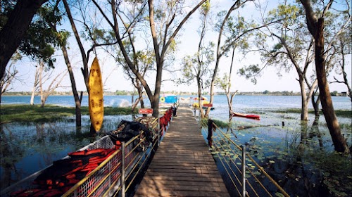 Outback Varuna