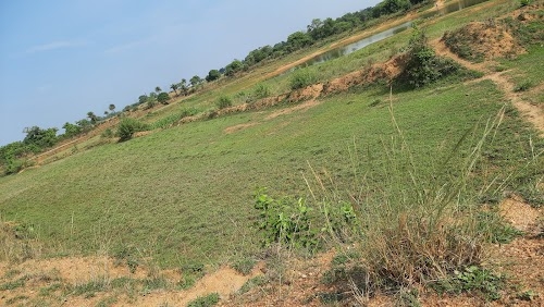 Nildih