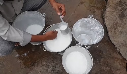 Deua dairy