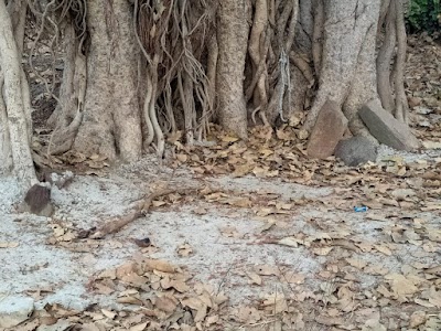 Ghatkaintara