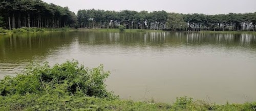 Rani Pokhar
