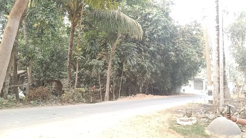 Naihati Durga Mondir(East-North) নৈহাটি দূর্গা মন্দির