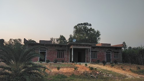 MANEESH KUMAR