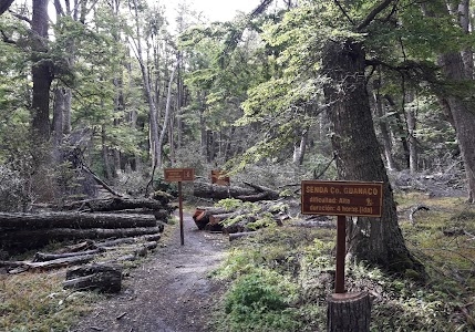 Senda Cerro Guanaco