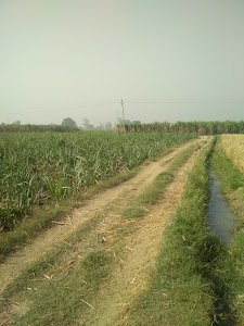 Shree Jain Roadways