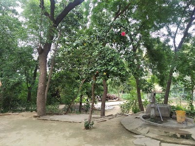 विष्णु धाम सन्यास आश्रम