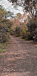 Seminary hills walking track