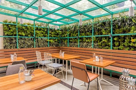 The Daily Cafe