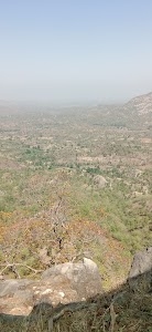 Goriya