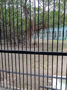 Birds Cage Area