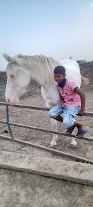 Lechora dairy farm