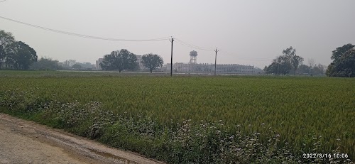 Basirpur