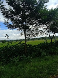 Rasamtala