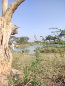 Sukhapur