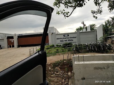 Ajanta Pharma Limited