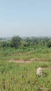Utnoor
